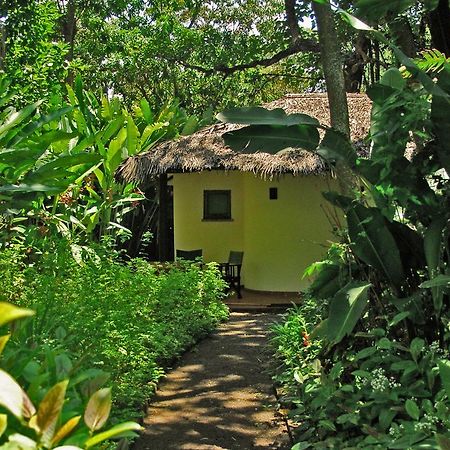 Moivaro Coffee Lodge Arusha Dış mekan fotoğraf