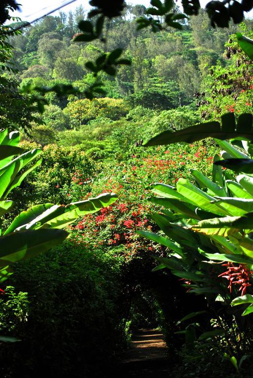 Moivaro Coffee Lodge Arusha Dış mekan fotoğraf