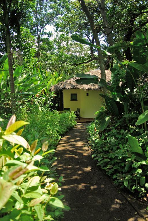 Moivaro Coffee Lodge Arusha Oda fotoğraf