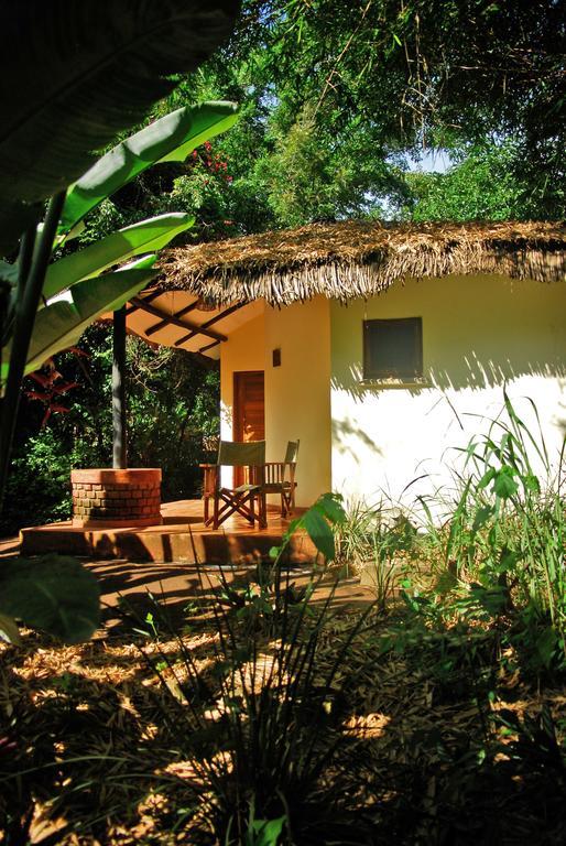 Moivaro Coffee Lodge Arusha Oda fotoğraf